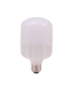Bombillo Led Tipo T 100W Luz Dia