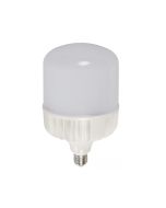Bombillo de Luz Blanca 25w